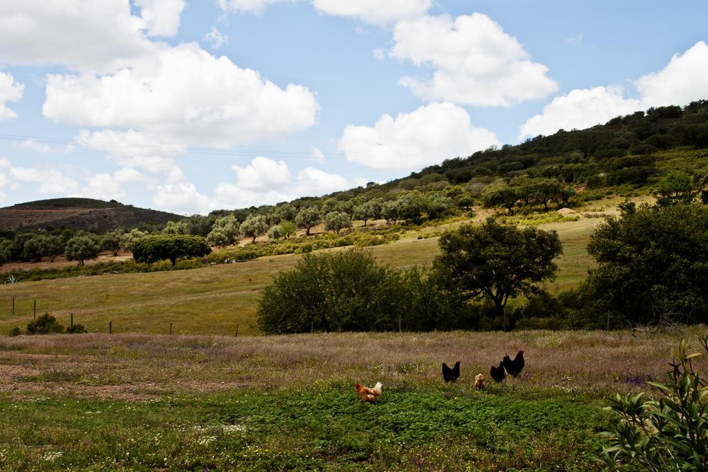 O Monte Do Alhinho - Turismo Rural Monte Costa Exterior photo